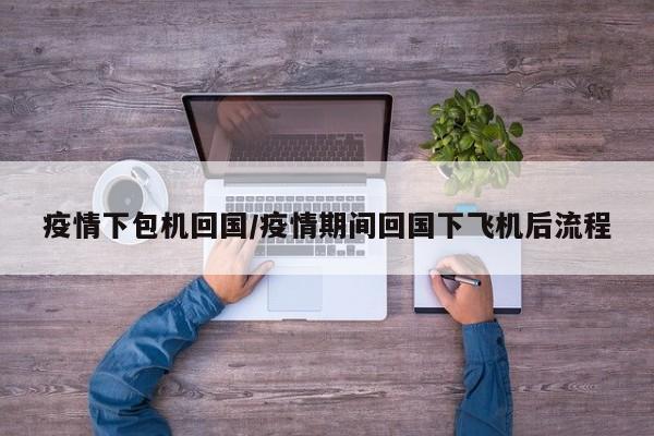 疫情下包机回国/疫情期间回国下飞机后流程