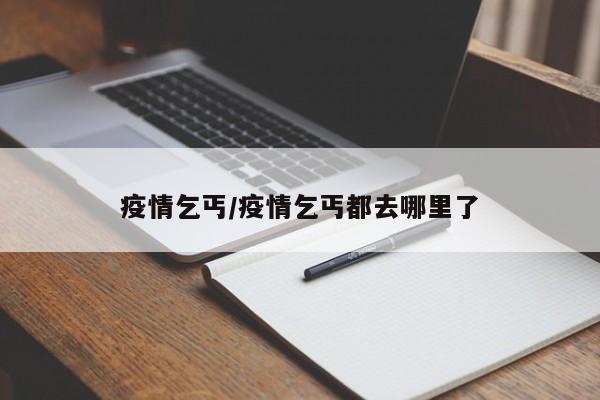 疫情乞丐/疫情乞丐都去哪里了