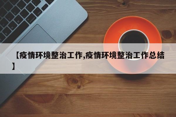 【疫情环境整治工作,疫情环境整治工作总结】