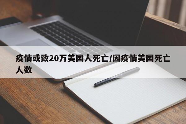 疫情或致20万美国人死亡/因疫情美国死亡人数