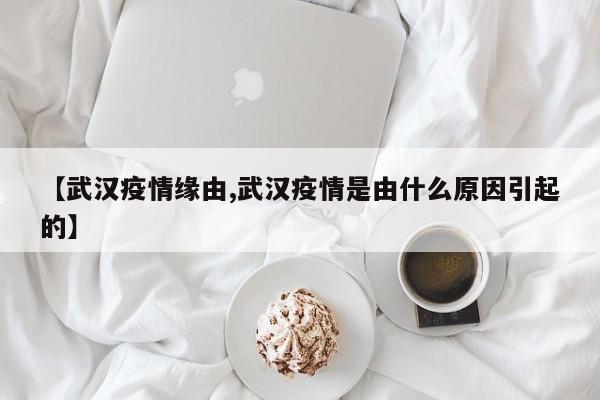 【武汉疫情缘由,武汉疫情是由什么原因引起的】