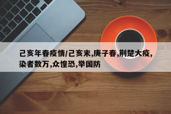 己亥年春疫情/己亥末,庚子春,荆楚大疫,染者数万,众惶恐,举国防